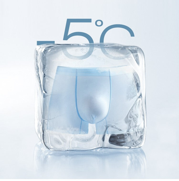 2er-Pack Chilled Elegance Seiden-Boxershorts für Herren