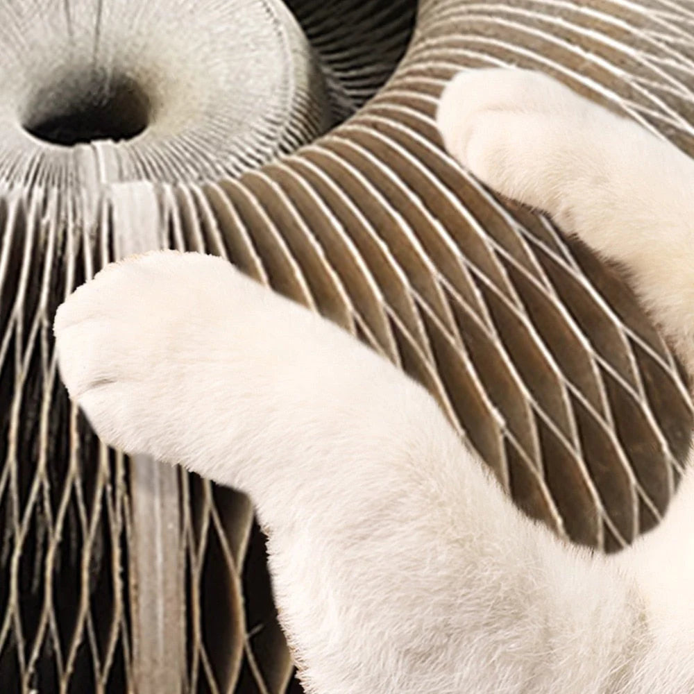 MAGIC ORGAN KATZENKRATZBRETT KATZENSPIELZEUG MIT GLOCKE KATZENSCHLEIFKLAUE