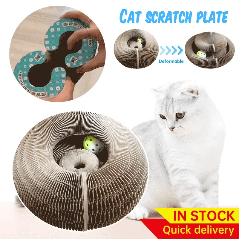 Planche à gratter pour chat, orgue magique, jouet pour chat avec cloche, griffe de meulage