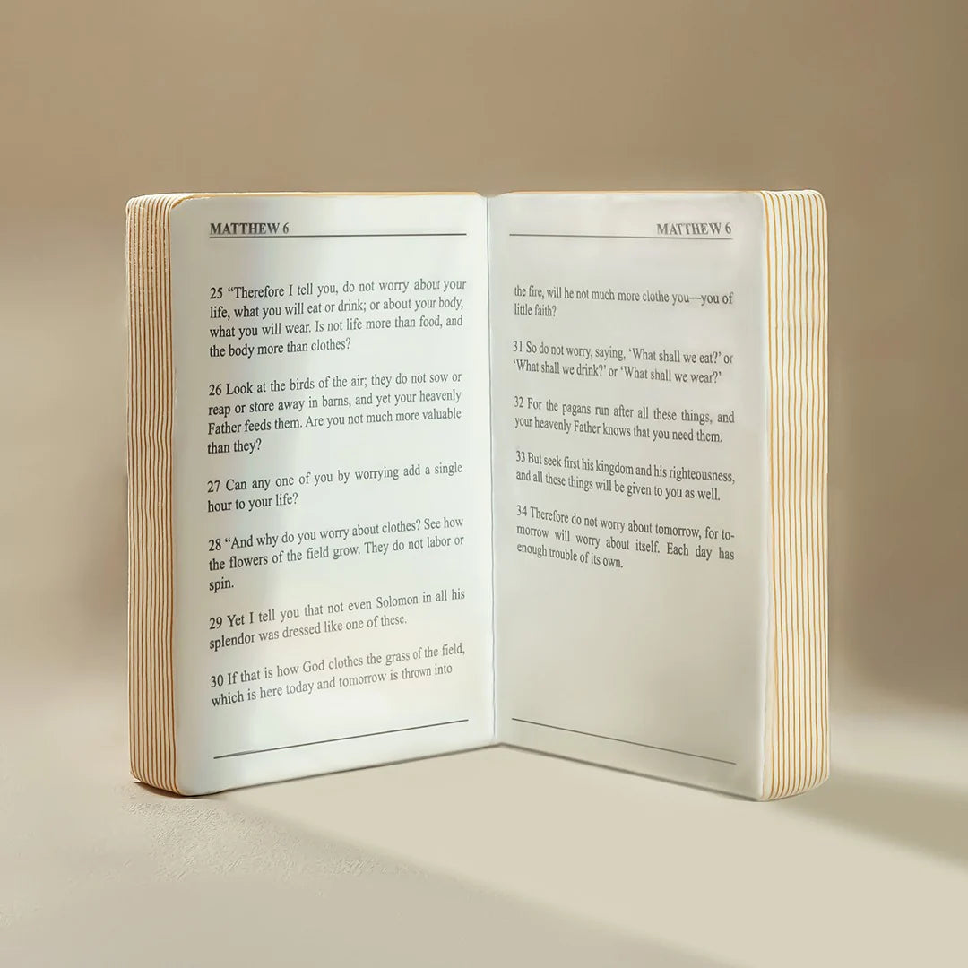 Oreiller Sainte Bible