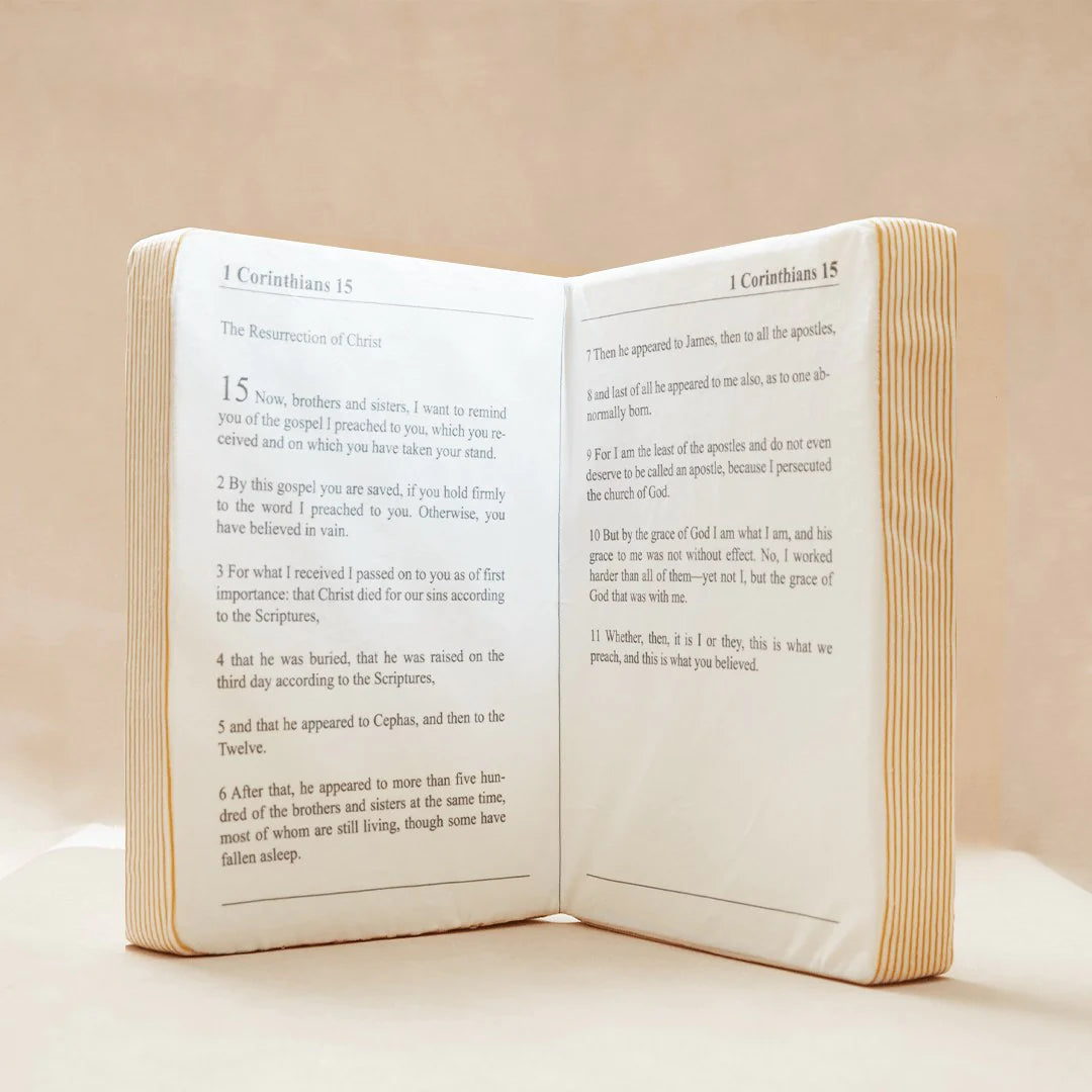 Oreiller Sainte Bible