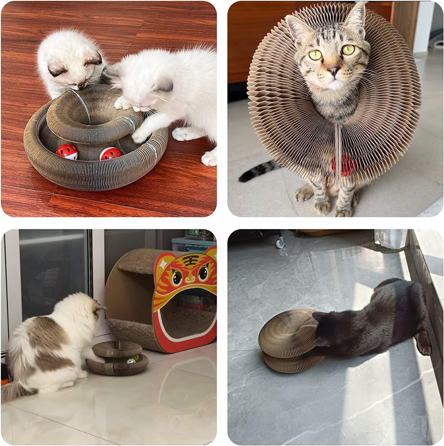 Planche à gratter pour chat à orgue magique