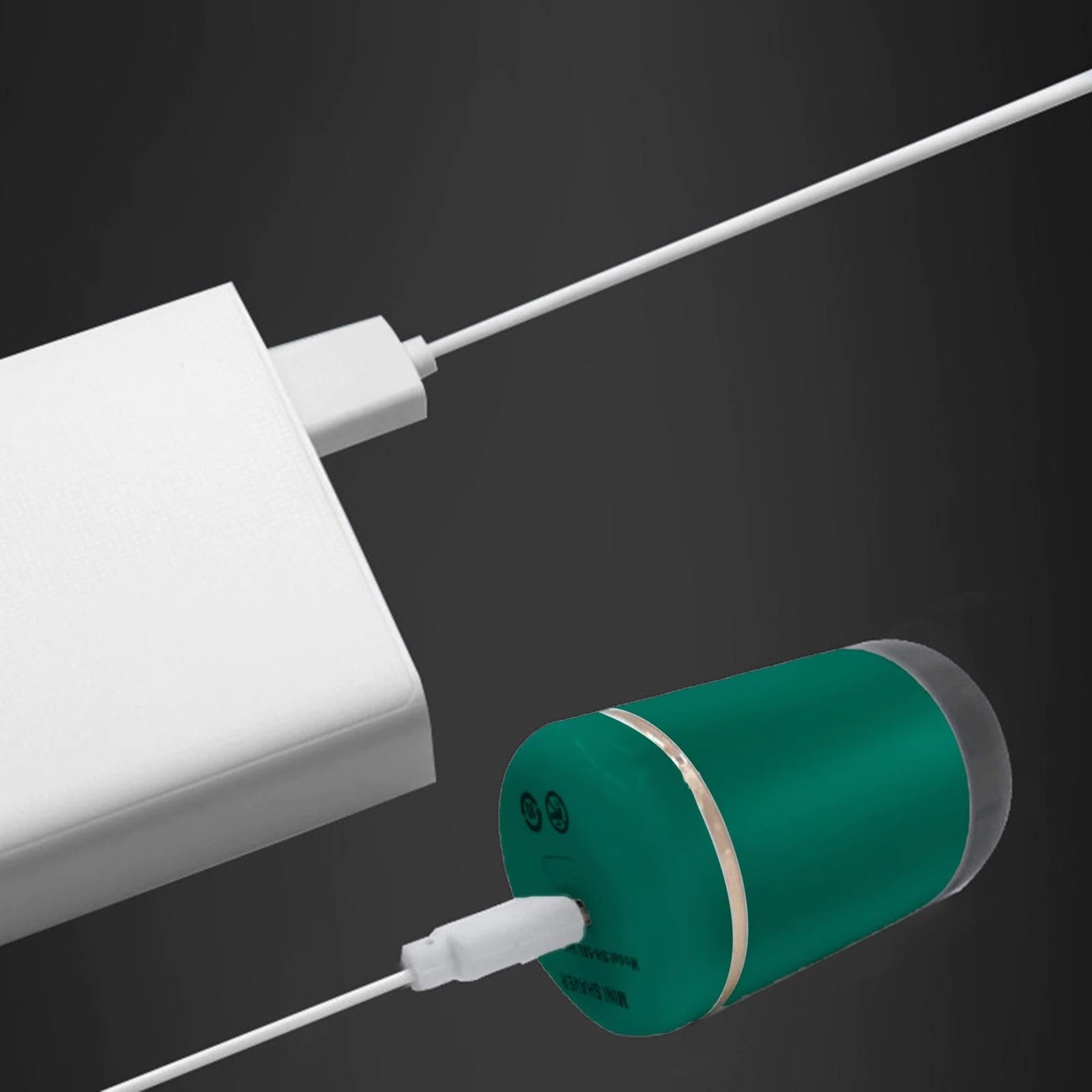 Mini rasoir électrique portable pour hommes, chargement USB, étanche IPX5