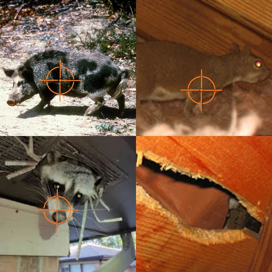 Household pest use cases