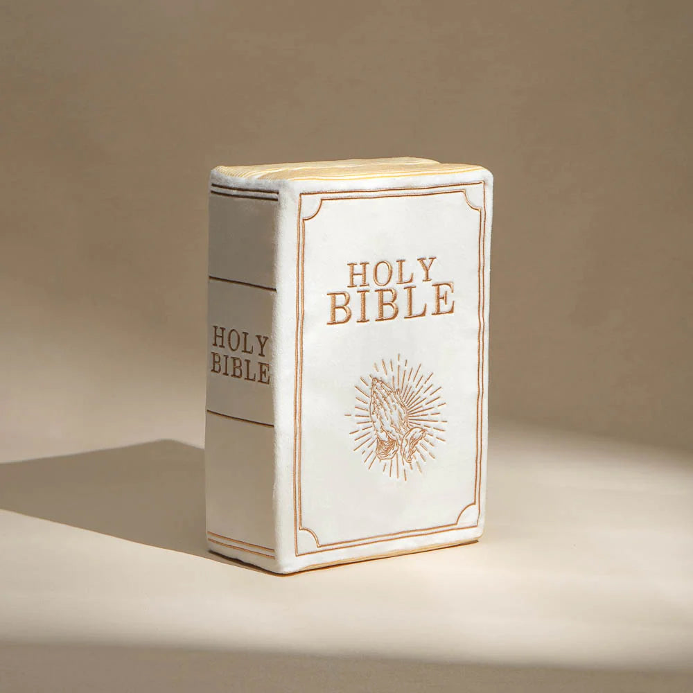 Oreiller Sainte Bible