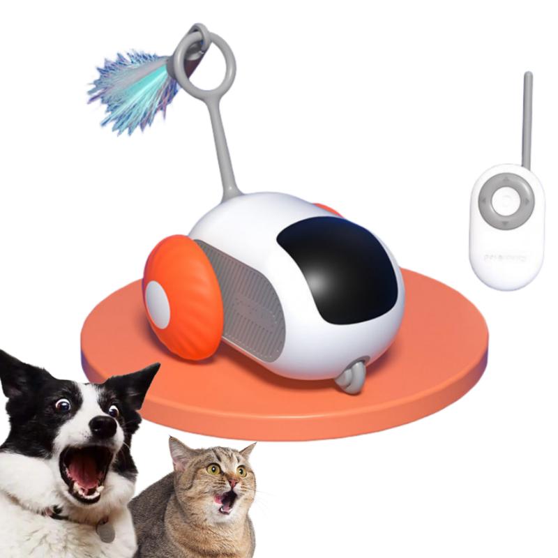 Exciting Interactive Cat Toy Car