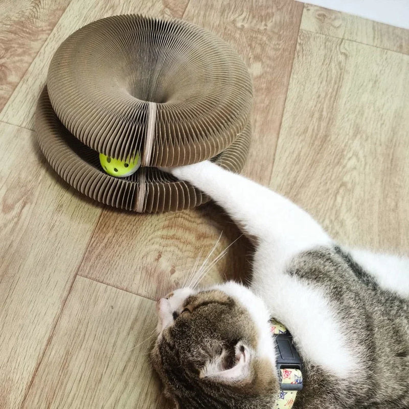 MAGIC ORGAN KATZENKRATZBRETT, KATZENSPIELZEUG MIT GLOCKE, KATZENKRALLEN ZUM SCHLEIFEN. 