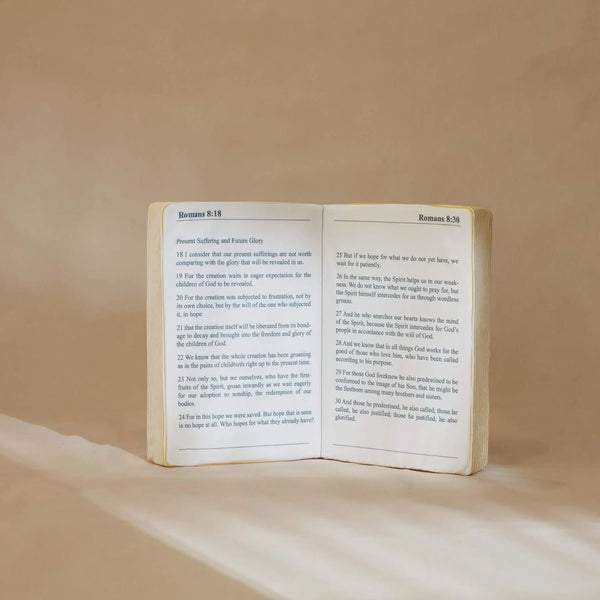 Kissenbezug mit Heiliger Bibel