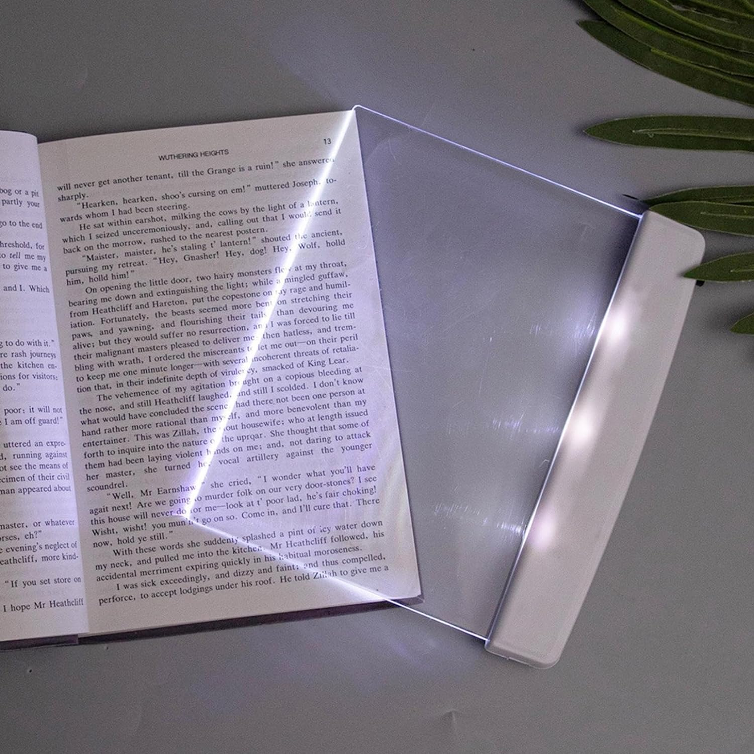 Flat Led Book Light