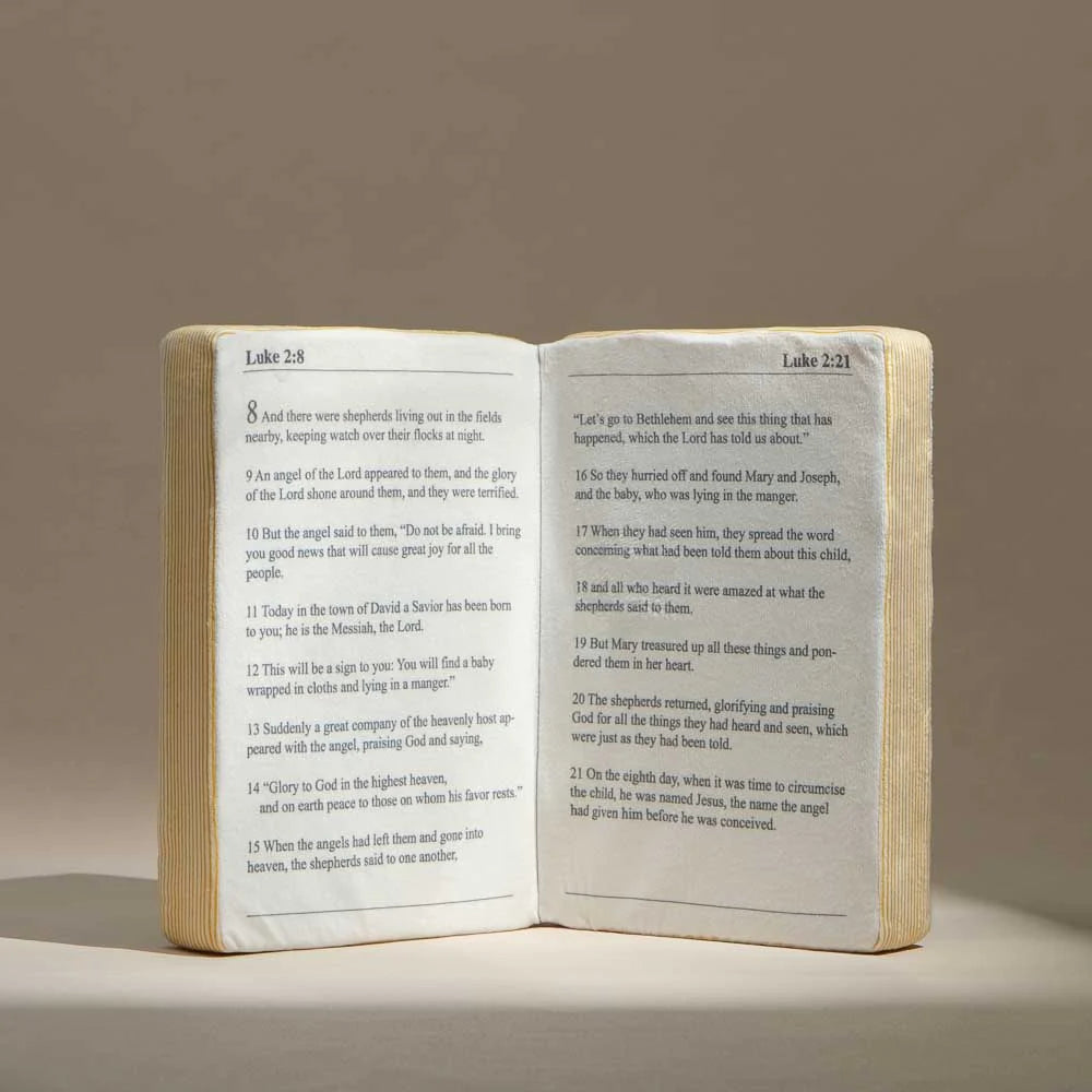 Oreiller Sainte Bible