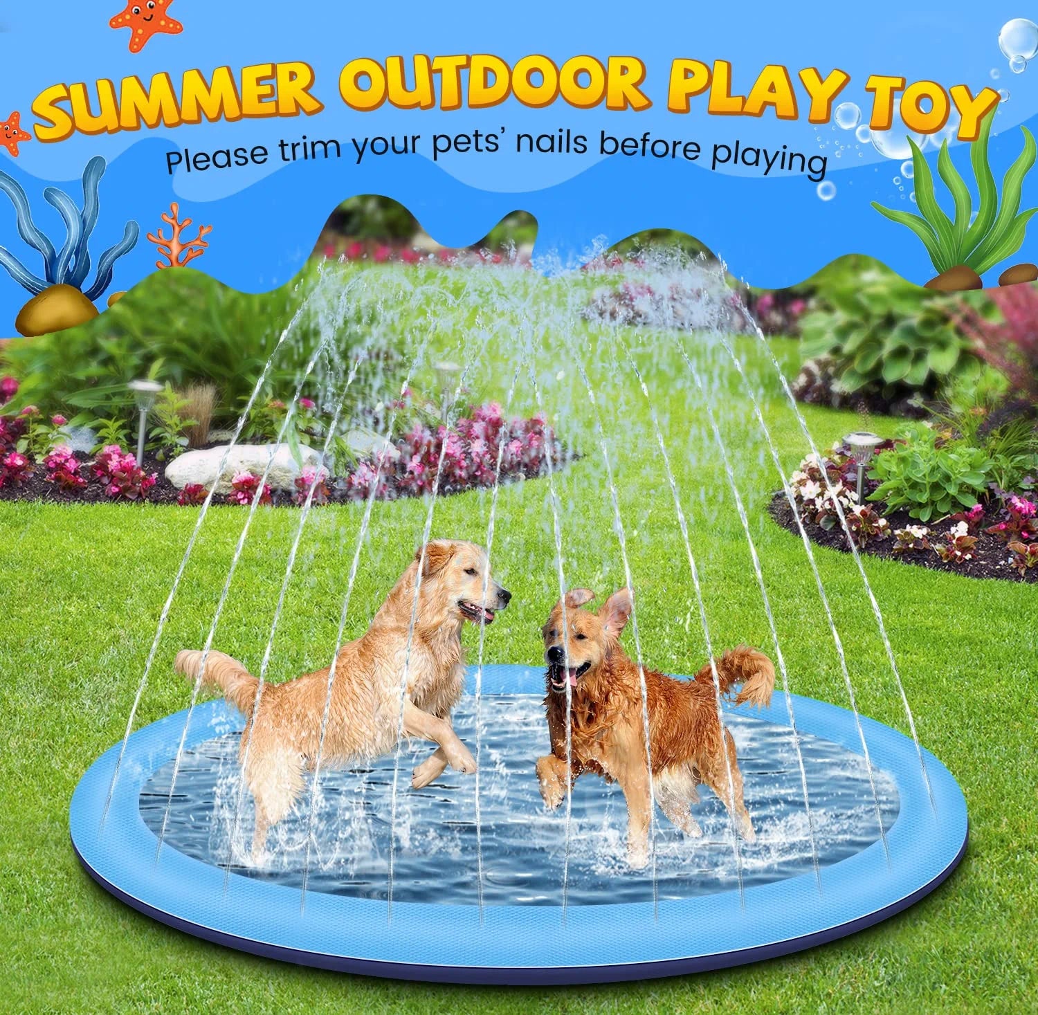 Dog Sprinkler Pool