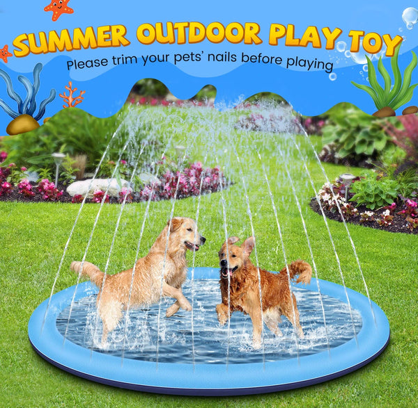 Piscine avec arroseur pour chien 