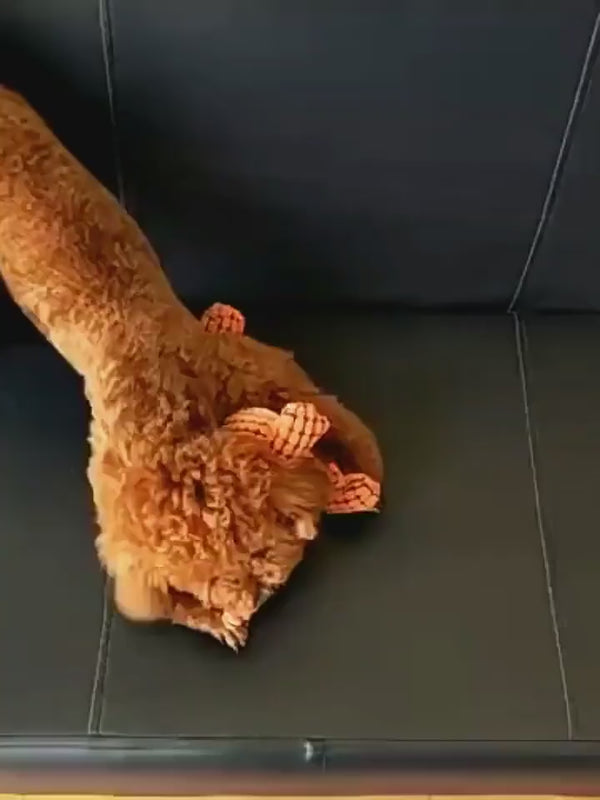 Hundebegleiter für starke Kauer 