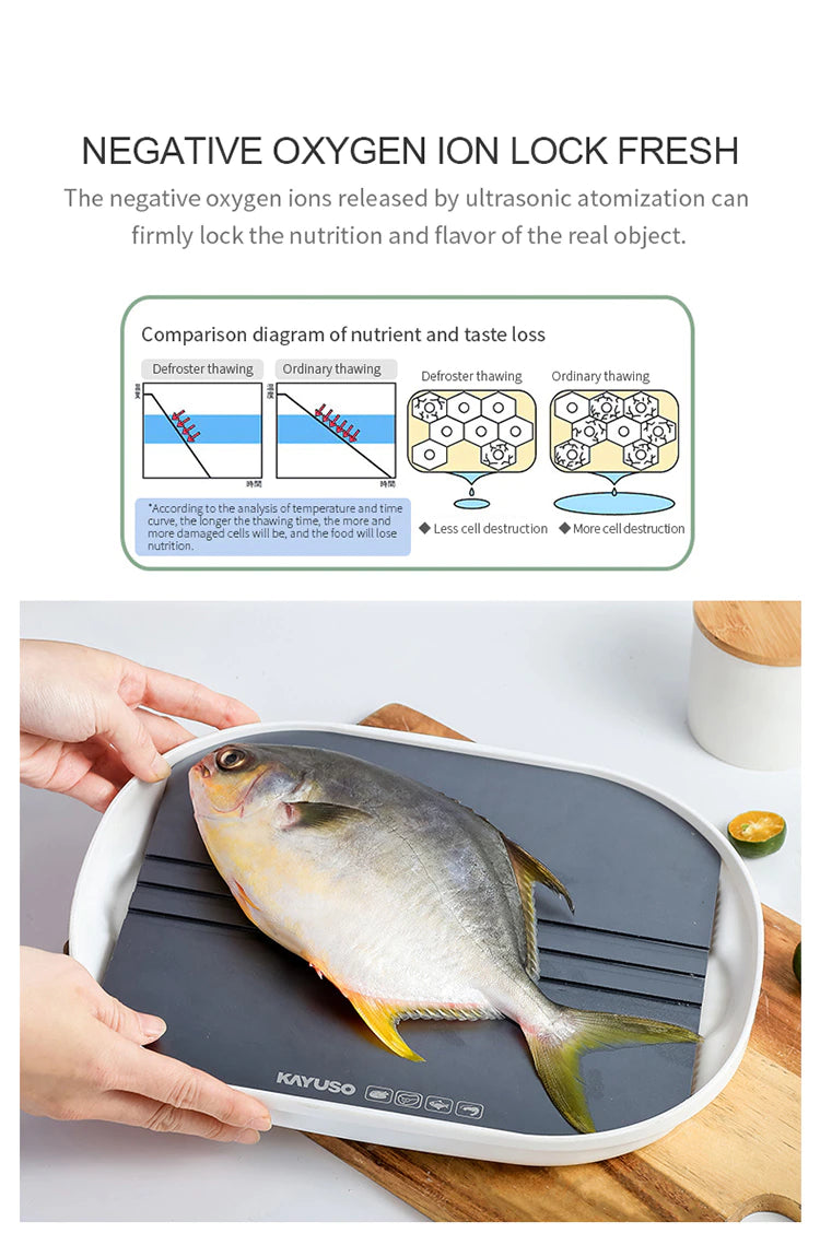 Fresh Quick Food Thaw Machines For Nature Nutrition Preservation and Bacteria Preventation