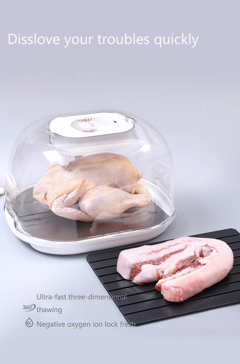 Fresh Quick Food Thaw Machines For Nature Nutrition Preservation and Bacteria Preventation