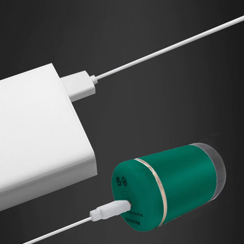 Mini rasoir électrique portable pour hommes, chargement USB, étanche IPX5