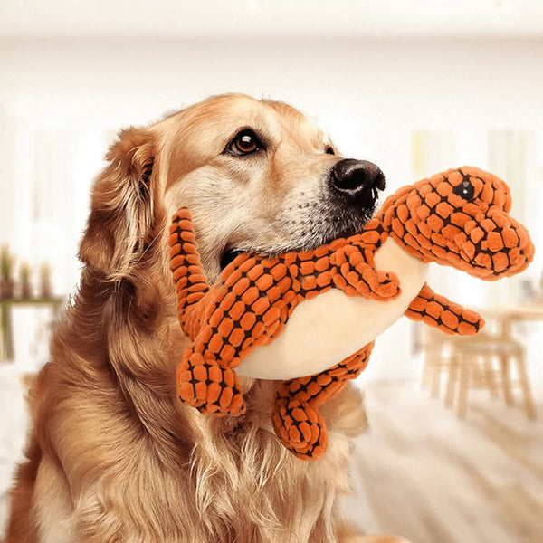 Hundebegleiter für starke Kauer 